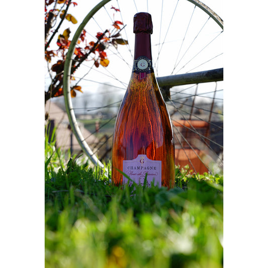 Een doorzichtige fles rose champagne van G. Tribaut Champagnes voor een fietswiel in het gras.